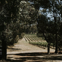 Vasse Felix Cabernet Sauvignon - Latitude Wine & Liquor Merchant