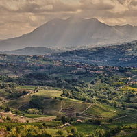 Vesevo Beneventano Falanghina - Latitude Wine & Liquor Merchant