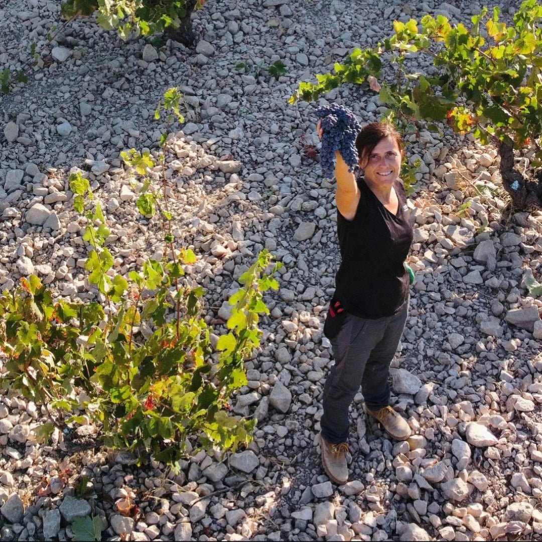 Vinateros Bravos Pipeno Itata Cinsault - Latitude Wine & Liquor Merchant