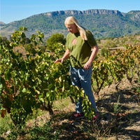Vinateros Bravos Pipeno Itata Cinsault - Latitude Wine & Liquor Merchant