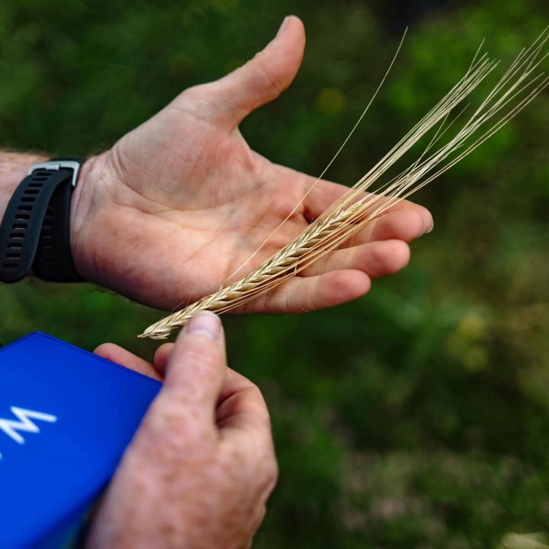 Waterford Sheestown Single Farm Irish Whisky - Latitude Wine & Liquor Merchant