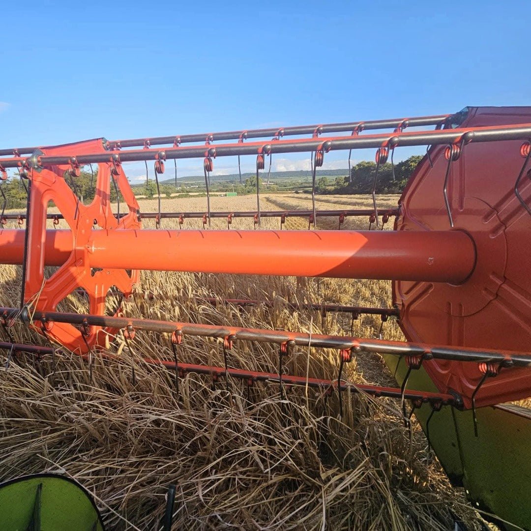 Waterford Sheestown Single Farm Irish Whisky - Latitude Wine & Liquor Merchant