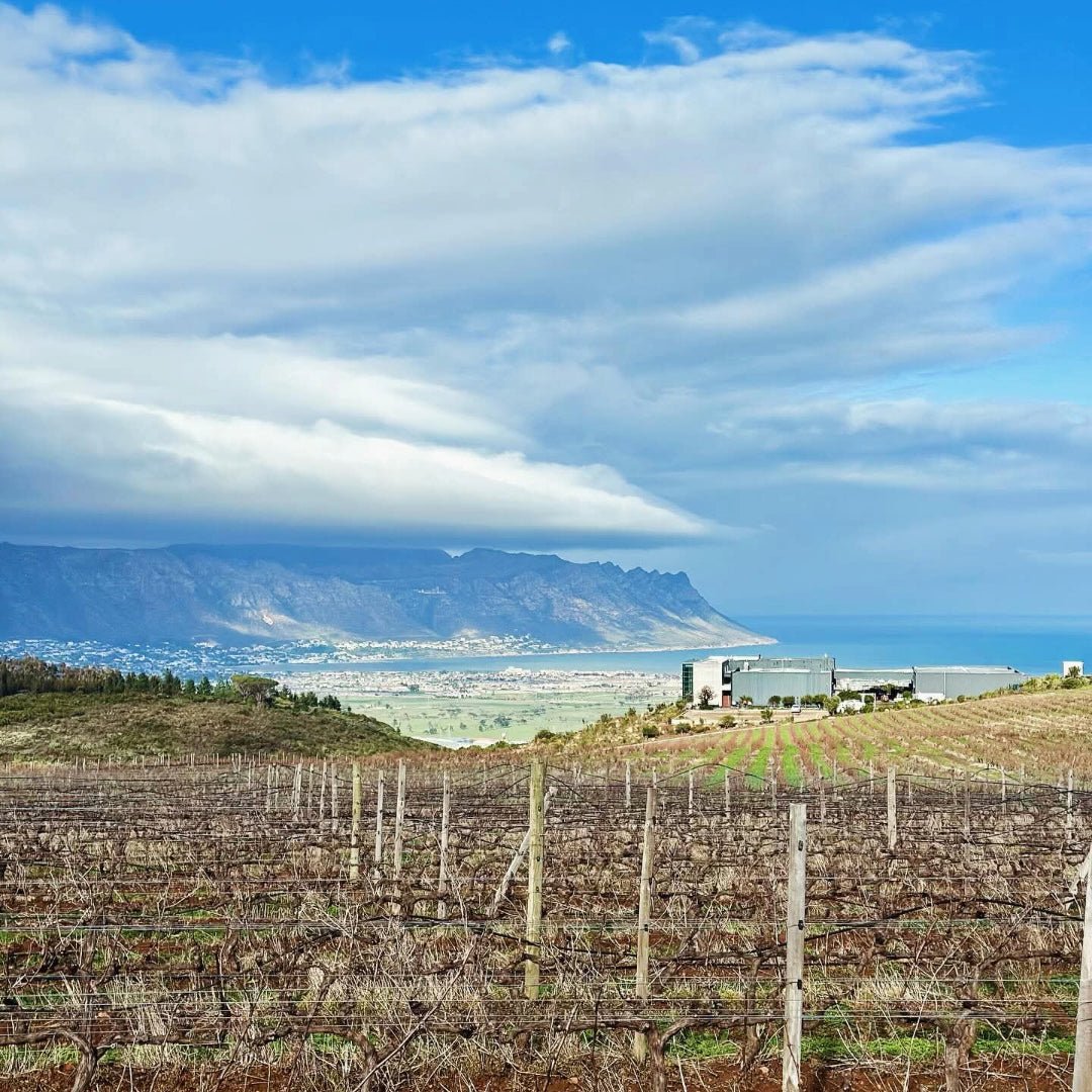 Waterkloof Syrah - Latitude Wine & Liquor Merchant