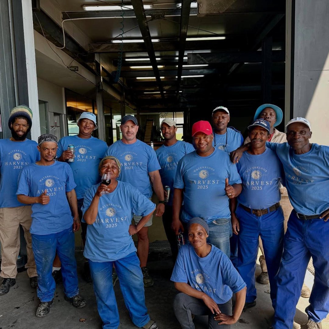 Waterkloof Syrah - Latitude Wine & Liquor Merchant