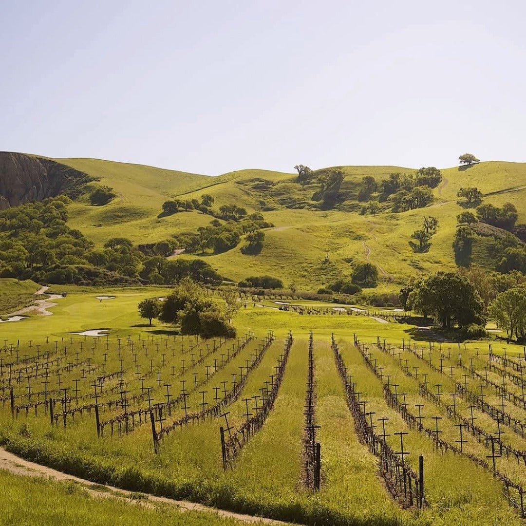 Wente Baily Hill Central Coast Pinot Noir - Latitude Wine & Liquor Merchant