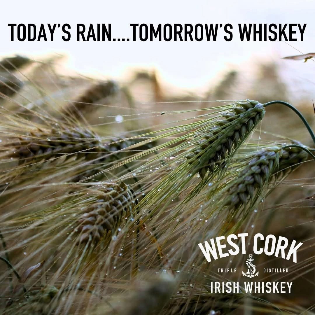 West Cork Black Cask - Latitude Wine & Liquor Merchant