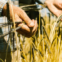 Westland Flagship American Single Malt - Latitude Wine & Liquor Merchant