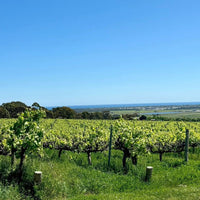 Wild & Wilder The Opportunist Shiraz - Latitude Wine & Liquor Merchant