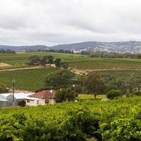 Wild & Wilder The Opportunist Shiraz - Latitude Wine & Liquor Merchant