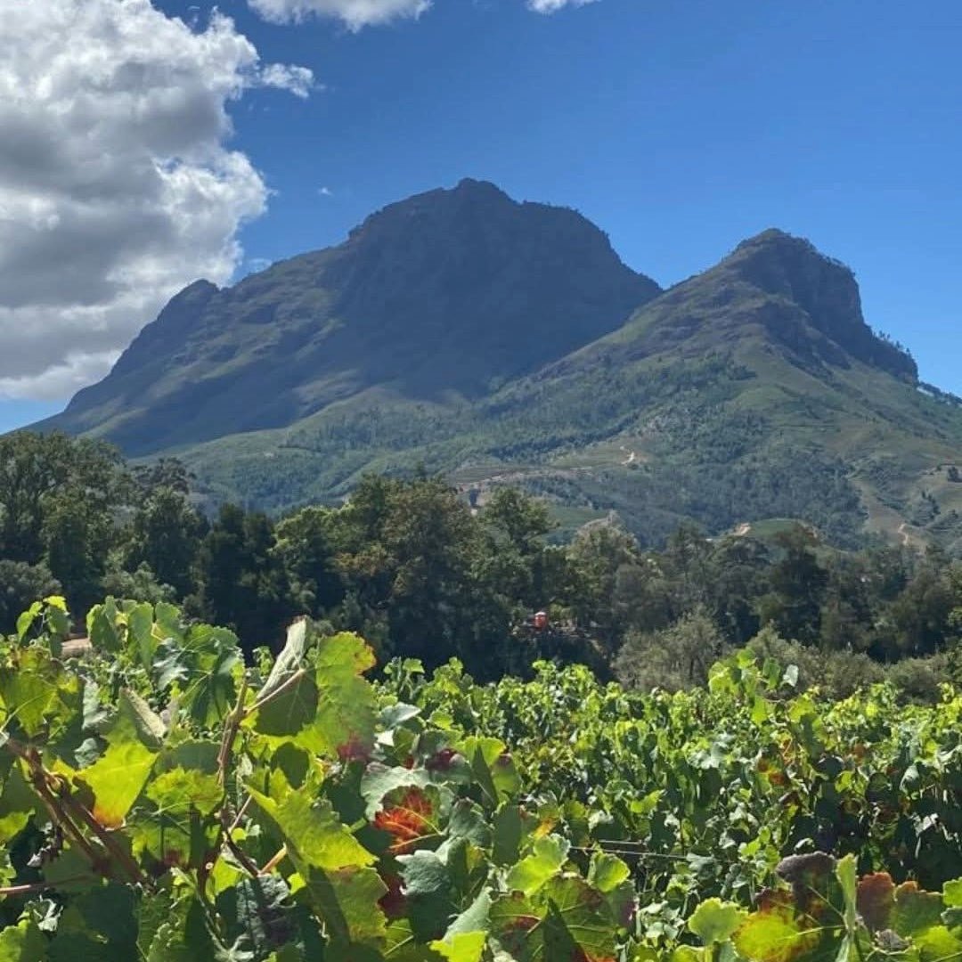 Wildeberg Franschhoek Syrah/Cabernet Franc - Latitude Wine & Liquor Merchant