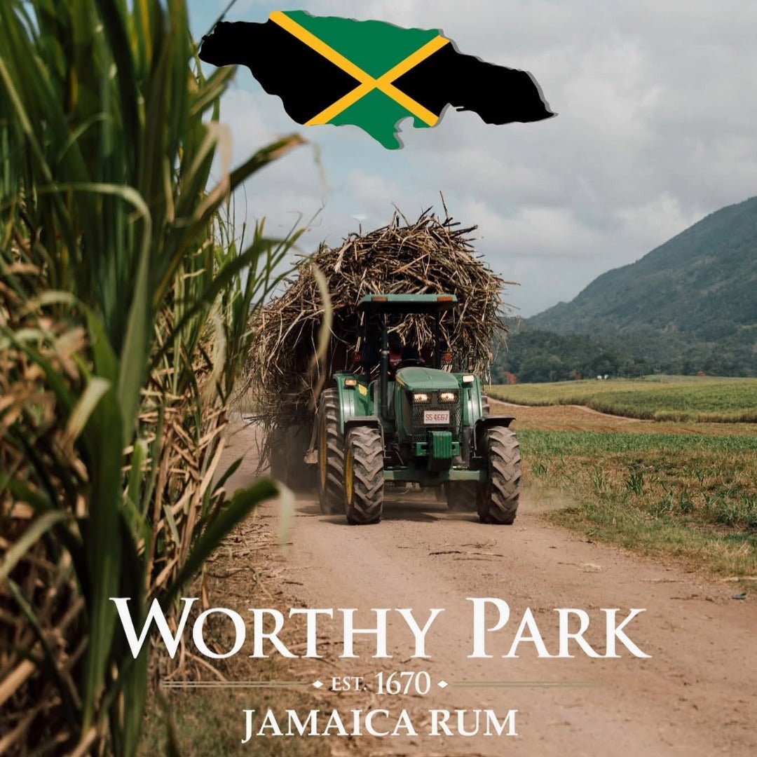 Worthy Park 109 Gunpowder Proof 70cl - Latitude Wine & Liquor Merchant