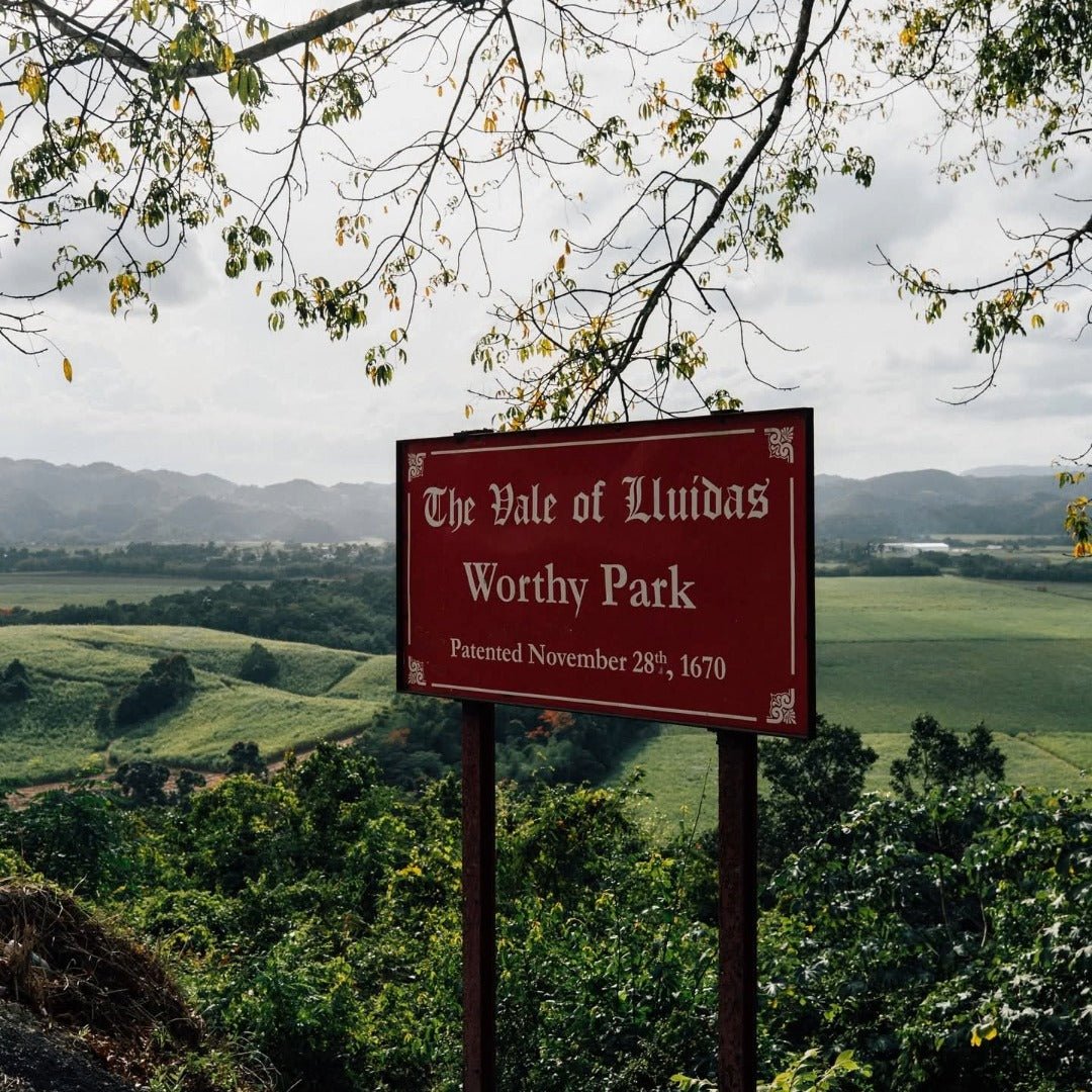 Worthy Park 109 Gunpowder Proof 70cl - Latitude Wine & Liquor Merchant