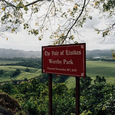 Worthy Park 109 Gunpowder Proof 70cl - Latitude Wine & Liquor Merchant