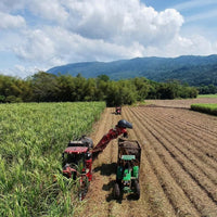 Worthy Park 109 Gunpowder Proof 70cl - Latitude Wine & Liquor Merchant