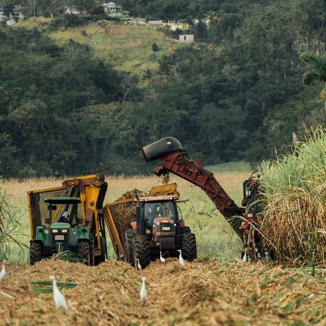 Worthy Park 109 Gunpowder Proof 70cl - Latitude Wine & Liquor Merchant