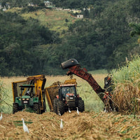 Worthy Park 109 Gunpowder Proof 70cl - Latitude Wine & Liquor Merchant