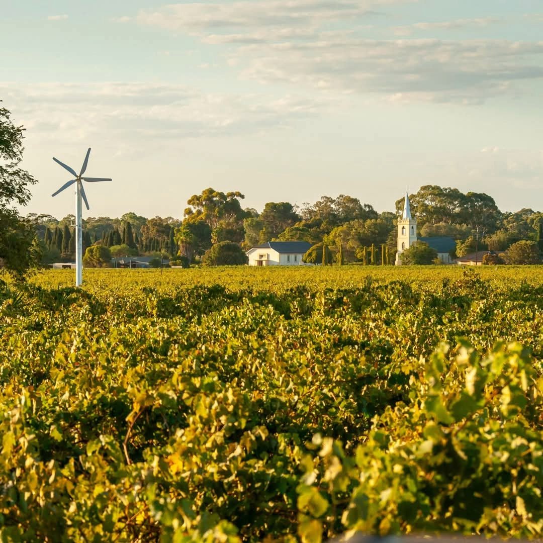 Yalumba Barossa GSM - Latitude Wine & Liquor Merchant