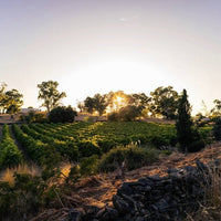 Yalumba Barossa GSM - Latitude Wine & Liquor Merchant