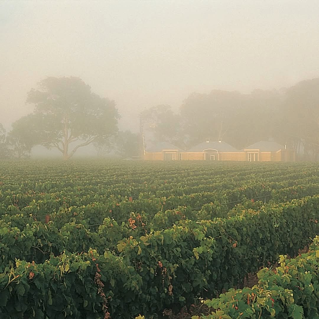 Yalumba Barossa GSM - Latitude Wine & Liquor Merchant