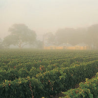 Yalumba Barossa GSM - Latitude Wine & Liquor Merchant