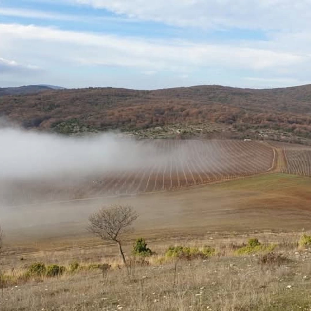 Yamantievs Winery Kaba Gayda Red - Latitude Wine & Liquor Merchant