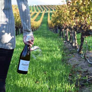 Zevenwacht Chenin Blanc - Latitude Wine & Liquor Merchant